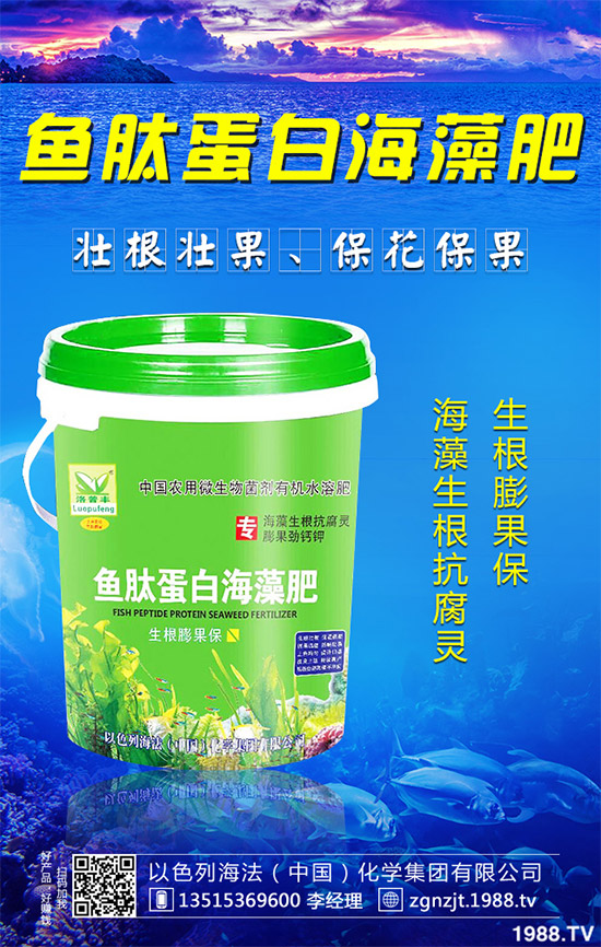 韭菜育苗需要移栽嗎？春季韭菜育苗移栽的注意事項(xiàng)