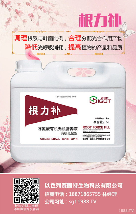 小麥春季常見(jiàn)的病害有哪些？該如何防治？春季小麥病害防治方法介紹