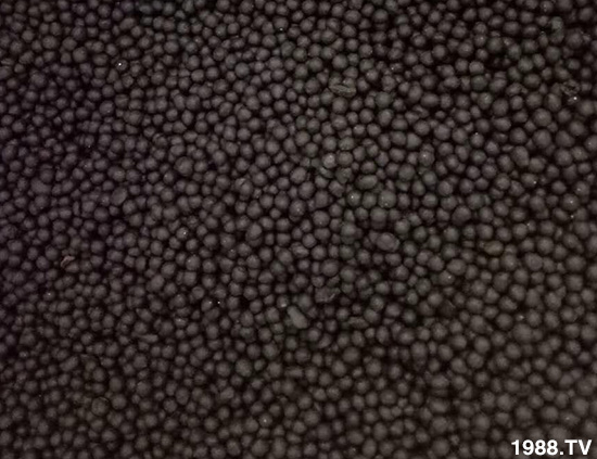 復合微生物菌劑（藍）-地康欣