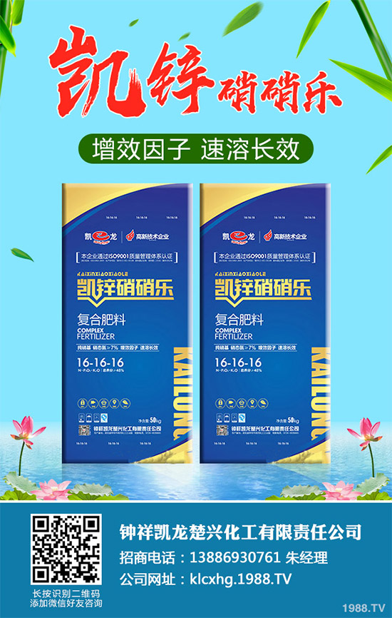 蠶豆該怎么種？蠶豆的種植技術(shù)及病害防治要點