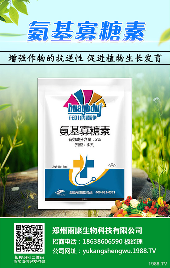 蠶豆該怎么種？蠶豆的種植技術(shù)及病害防治要點