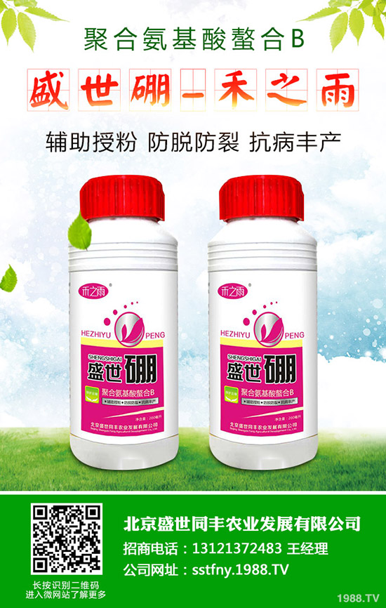 如何促進(jìn)西瓜種子發(fā)芽？西瓜種子發(fā)芽要注意哪些問題