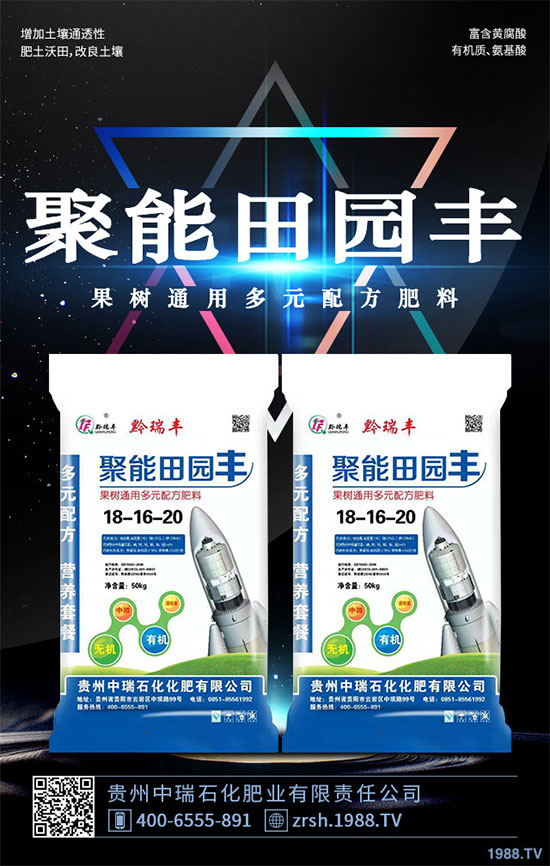     雷丸又稱竹鈴芝、雷實、竹苓、竹兜菌，是一種常用的藥用菌，與茯苓、豬苓并列為“三苓”。具有殺蟲消積的功效，常用于絳蟲、鉤蟲、蛔蟲、蟲積、小兒疳積等病癥?，F(xiàn)今市場雷丸供藥多以野生為主，而人工目前少有栽培；雷丸種植對環(huán)境要求比較苛刻，喜溫暖氣候地區(qū)，以林中潮濕潤地為宜，但田間管理簡易，只需注意溫度和干旱就行。那么，雷丸該怎么種？雷丸的種植方法及田間管理要點有哪些呢？