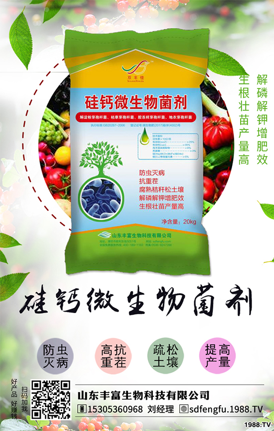 花生如何選種？花生怎么種植能高產(chǎn)？