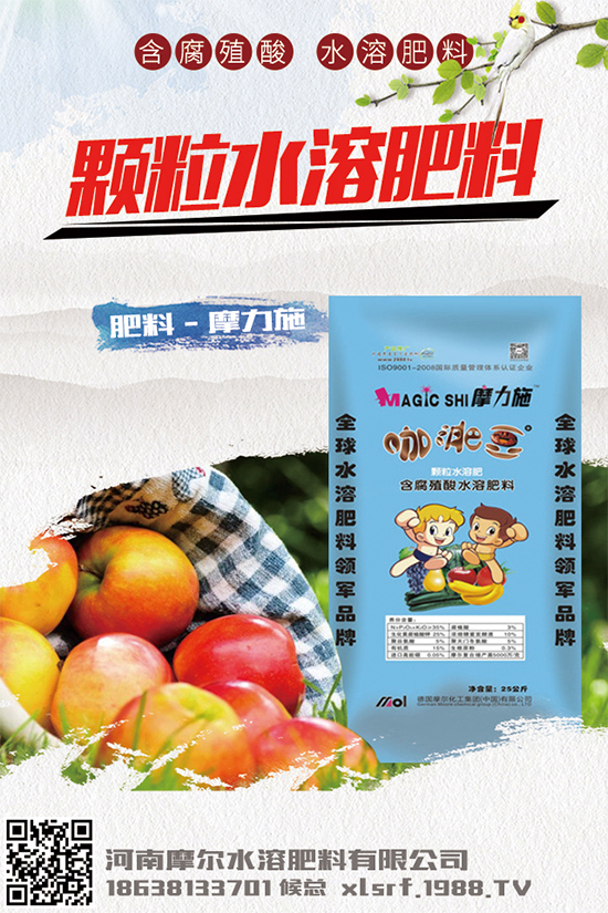 種植白術(shù)掙錢嗎？2020白術(shù)種植前景及效益分析