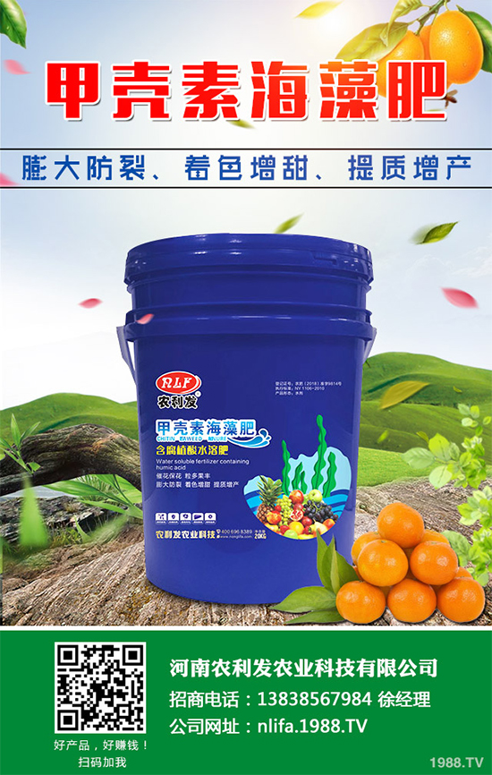 種植白術(shù)掙錢嗎？2020白術(shù)種植前景及效益分析