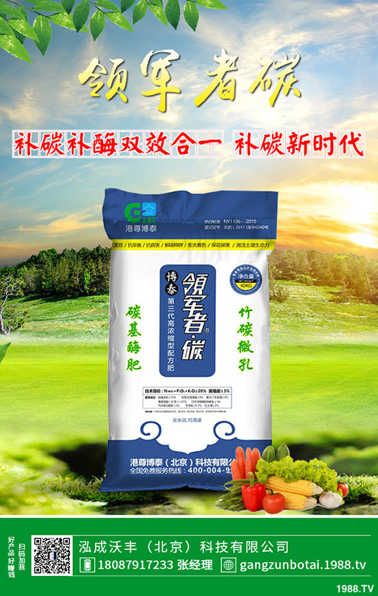 家中該如何養(yǎng)殖馬蹄蓮？養(yǎng)殖方法要點，花友必看！