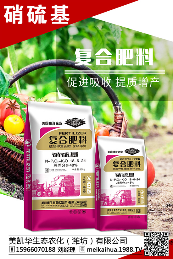 芒果種植管理事項，芒果施肥要點！