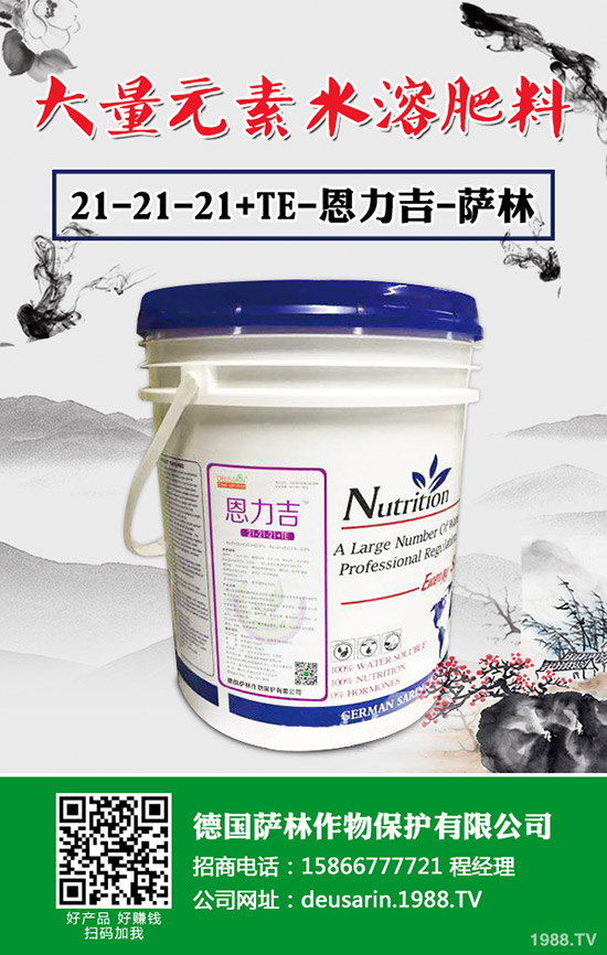 辣椒根腐病有治嗎？辣椒根腐病發(fā)病規(guī)律及防治措施！