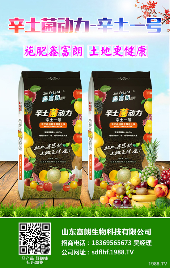 你知道春花生什么時候播種嗎？2020年春花生種植方法講解