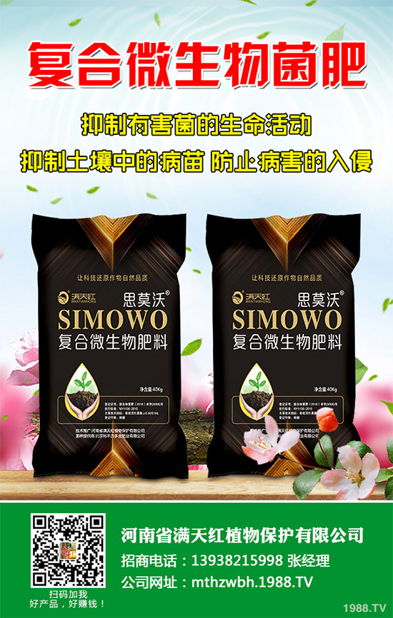 春玉米如何巧施肥？2020年春玉米科學施肥建議