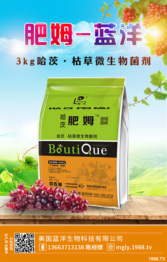 花椒樹該如何種植？三步幫你輕松種出高產(chǎn)花椒！