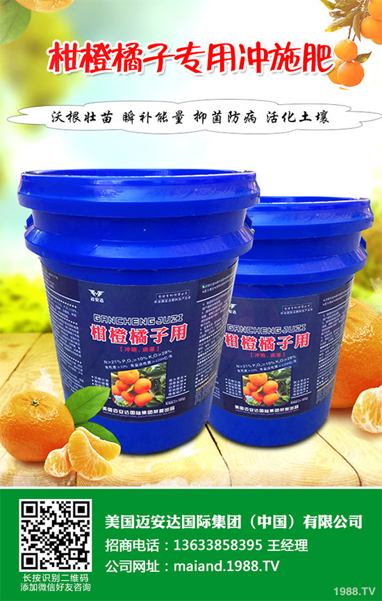 花椒樹該如何種植？三步幫你輕松種出高產(chǎn)花椒！