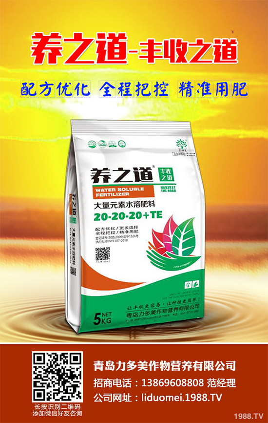 板藍(lán)根該如何種植？板藍(lán)根高產(chǎn)種植技術(shù)要點(diǎn)