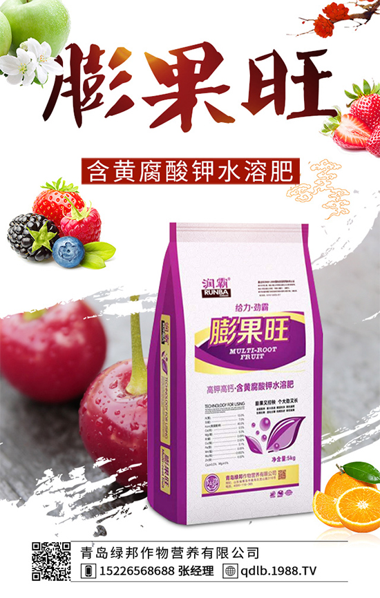 菜菔子有哪些神奇功效？萊菔子的功效作用及食用禁忌