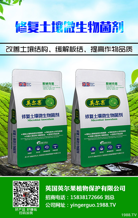     一銨行情成交下調(diào)！今日最新企業(yè)出廠參考報(bào)價一覽2020-3-25