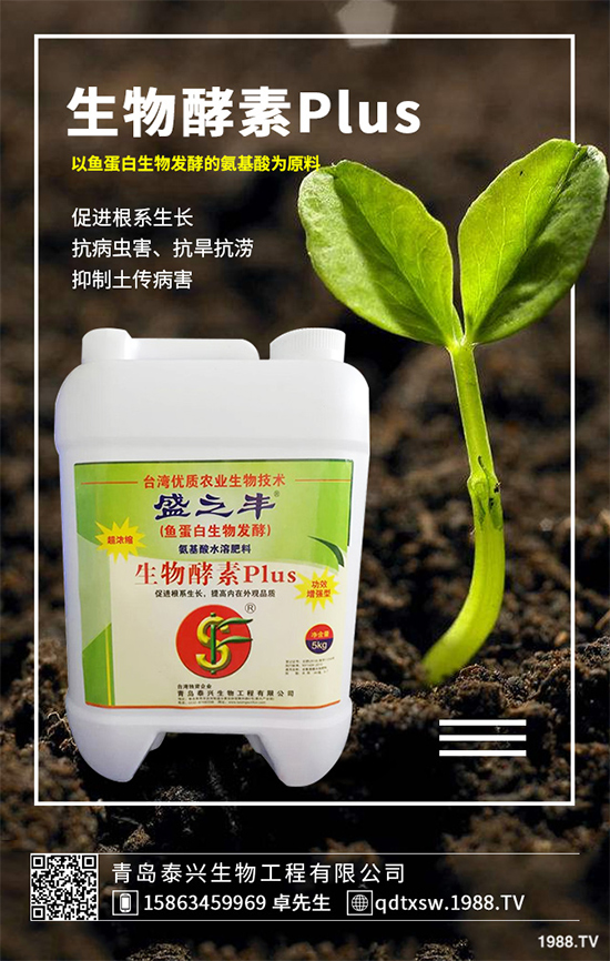 菜菔子有哪些神奇功效？萊菔子的功效作用及食用禁忌