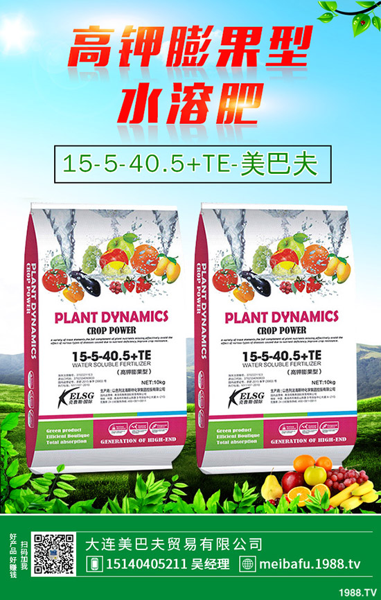 苦瓜怎么施肥，苦瓜施肥要點有哪些？