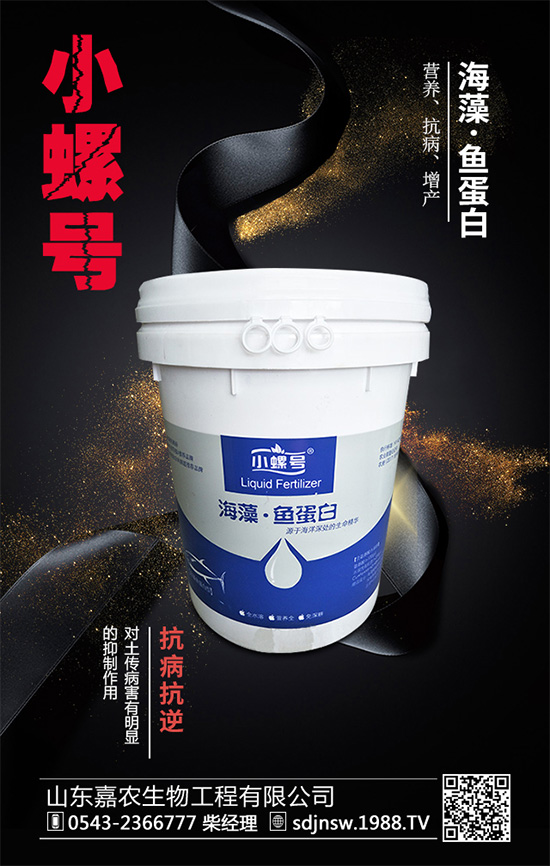 露地茄子該如何種植？茄子春季種植管理技術要點