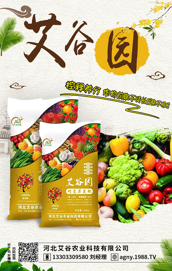 蘋果樹施肥不當(dāng)遭肥害！專家教你如何預(yù)防肥害！