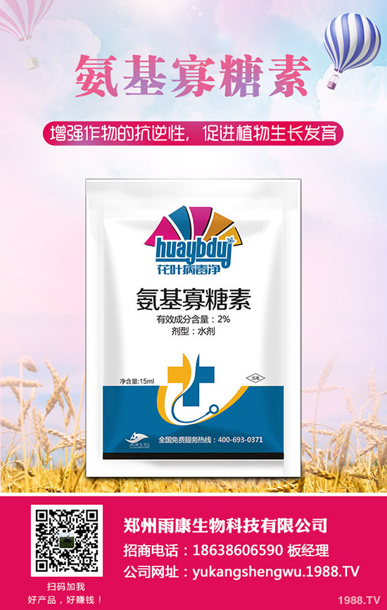 番茄發(fā)生肥害怎么辦？番茄肥害怎么快速恢復(fù)？