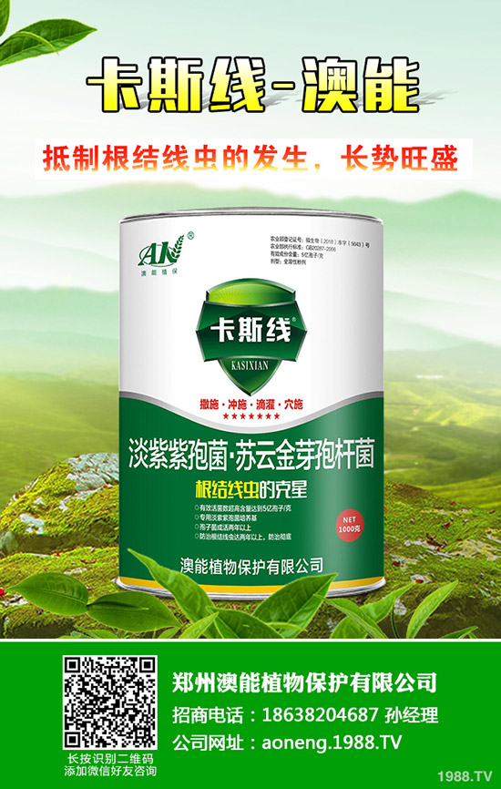 南瓜種植時(shí)間是什么時(shí)候？南瓜的種植技巧！