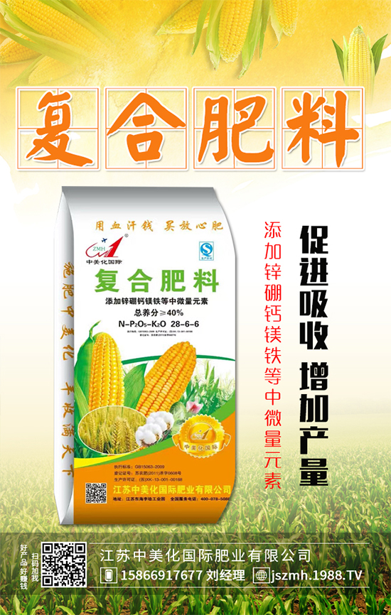 茄子什么時間育苗？茄子育苗的栽培管理要點！