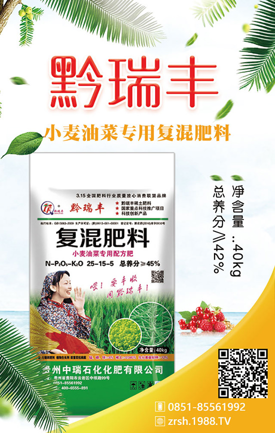 如何種植春季白菜？科學(xué)方法有哪些？