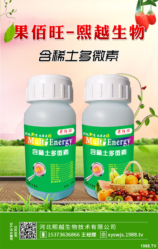 洋桔梗該如何種植？洋桔梗栽培種植技術(shù)