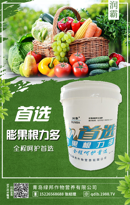 萬年青插桿及播種要點(diǎn)，室內(nèi)萬年青種植注意事項(xiàng)！