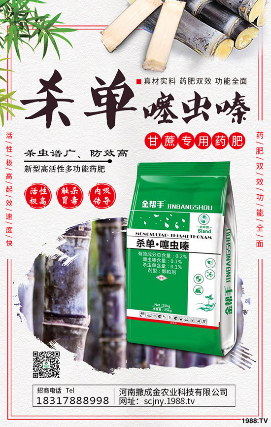 芹菜得了菌核病怎么辦？棚栽芹菜菌核病如何防治？