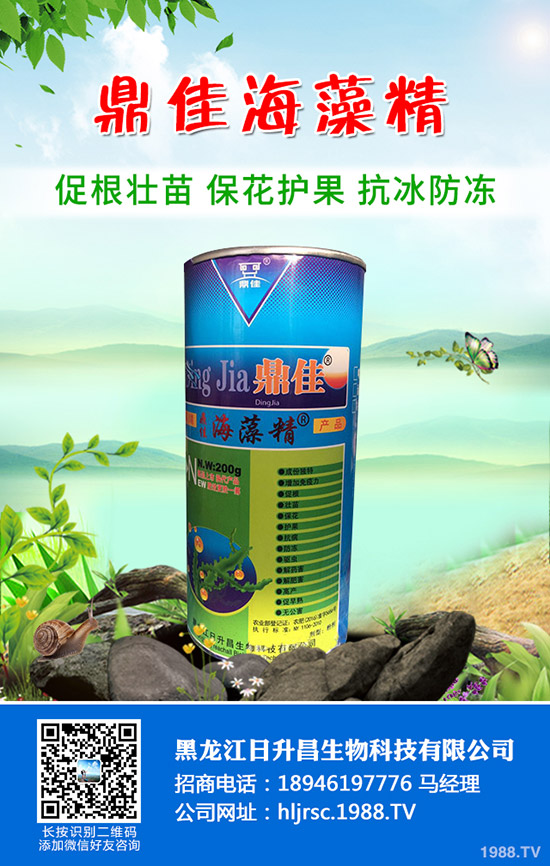 辣椒怎么育苗產(chǎn)量好，辣椒育苗技術(shù)要點！