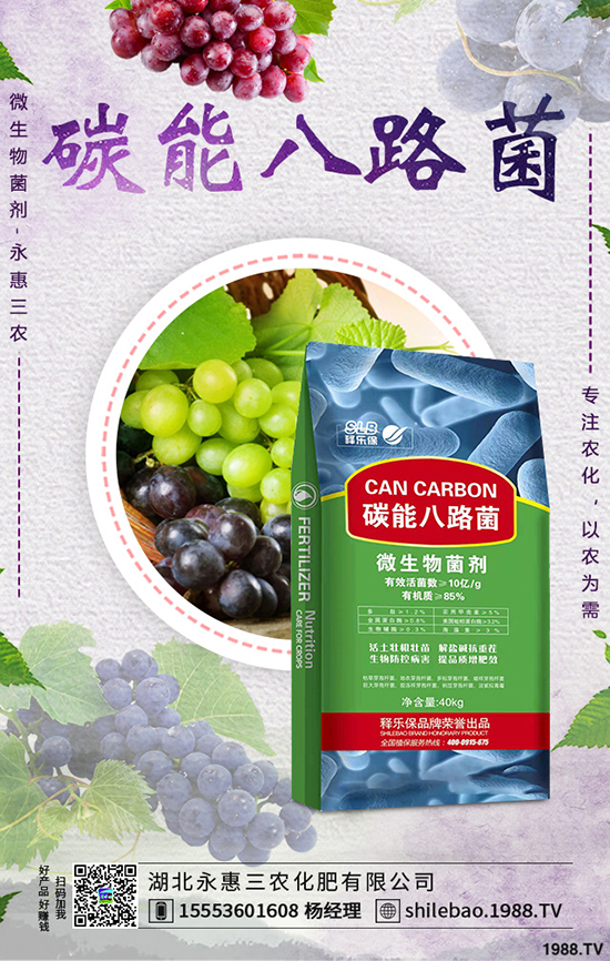 莧菜種植時(shí)間是什么時(shí)候，莧菜種植方法技術(shù)