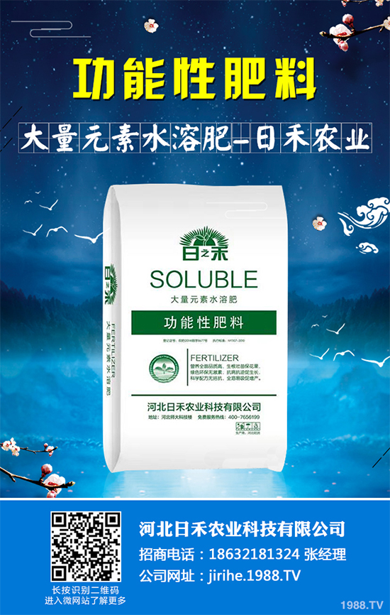 射干該怎么種植？中藥材射干的種植技術(shù)要點(diǎn)