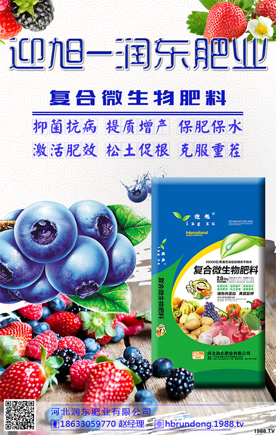 大棚香椿怎么栽培？大棚香椿高產(chǎn)栽培技術(shù)