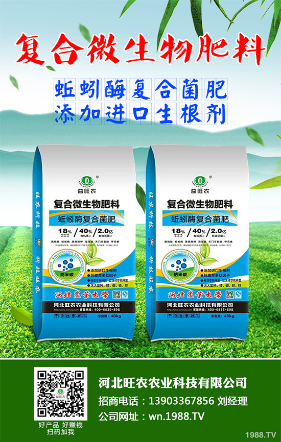 大棚香椿怎么栽培？大棚香椿高產(chǎn)栽培技術(shù)