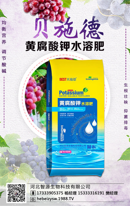 西瓜的生育周期，西瓜播種要點(diǎn)及種植密度！