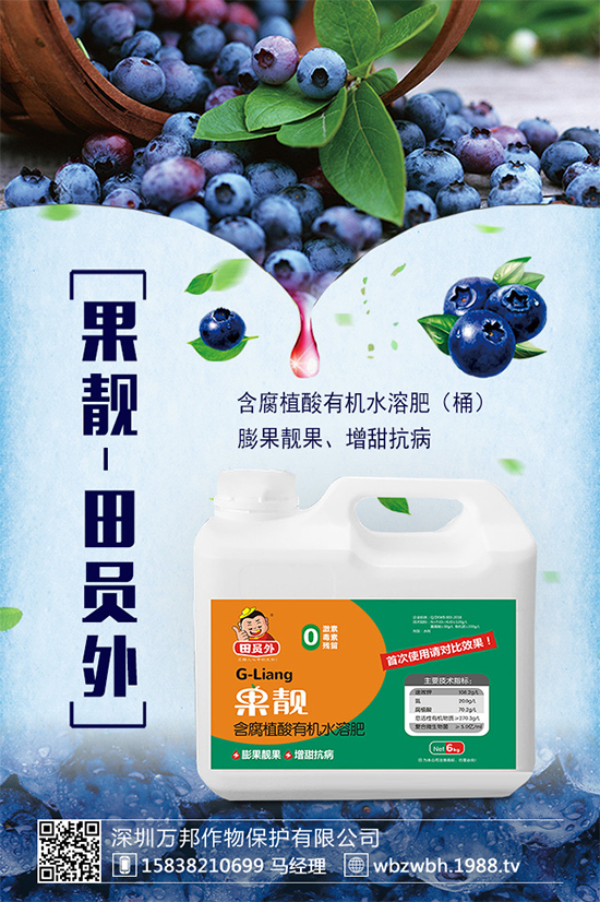 太子參的市場前景如何？2020太子參種植的效益分析