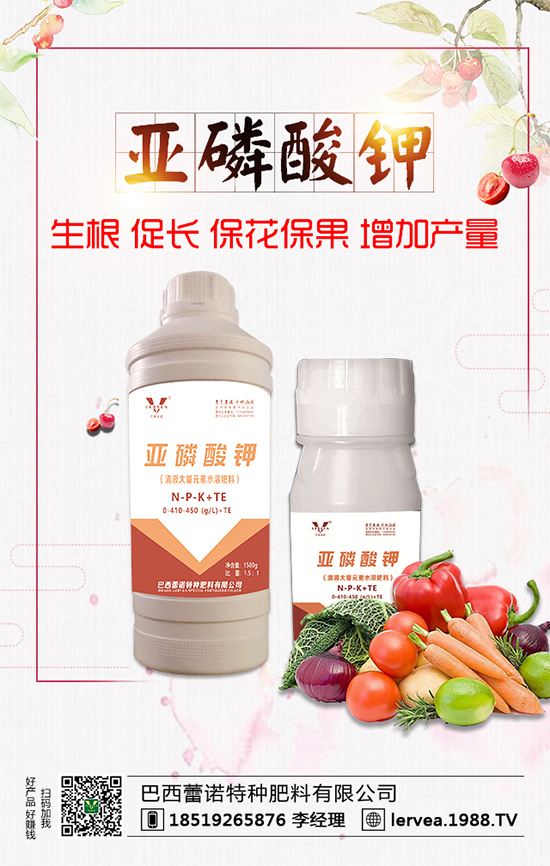 作物缺鉀有什么危害？鉀肥有什么作用？鉀肥種類選擇！