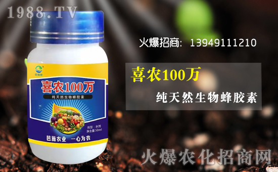 ��(zh��n)�Ժ���������(j��)�����ϰ�ʩ�G�r(n��ng)�I(y��)�y��1988.TV�ل�(chu��ng)�x����