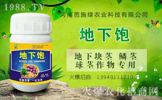 ��(zh��n)�Ժ���������(j��)�����ϰ�ʩ�G�r(n��ng)�I(y��)�y��1988.TV�ل�(chu��ng)�x����