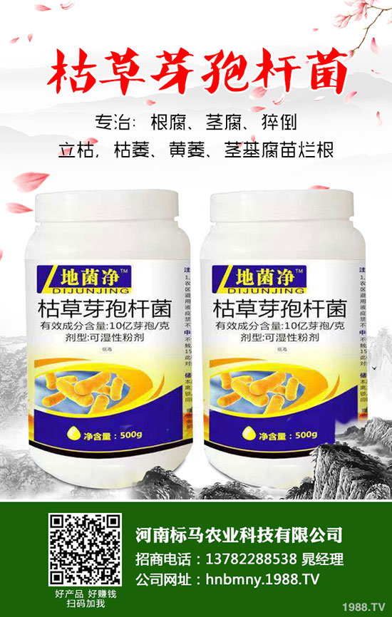 茄子想高產(chǎn)，整枝修葉是關(guān)鍵！茄子整枝修葉原則及方法介紹！