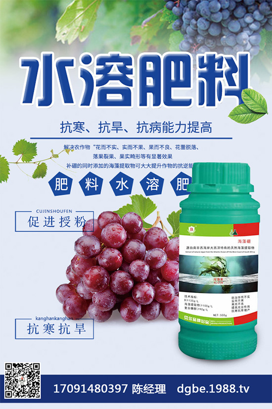 露地西瓜該如何育苗？春季露地西瓜高產(chǎn)栽培技術(shù)