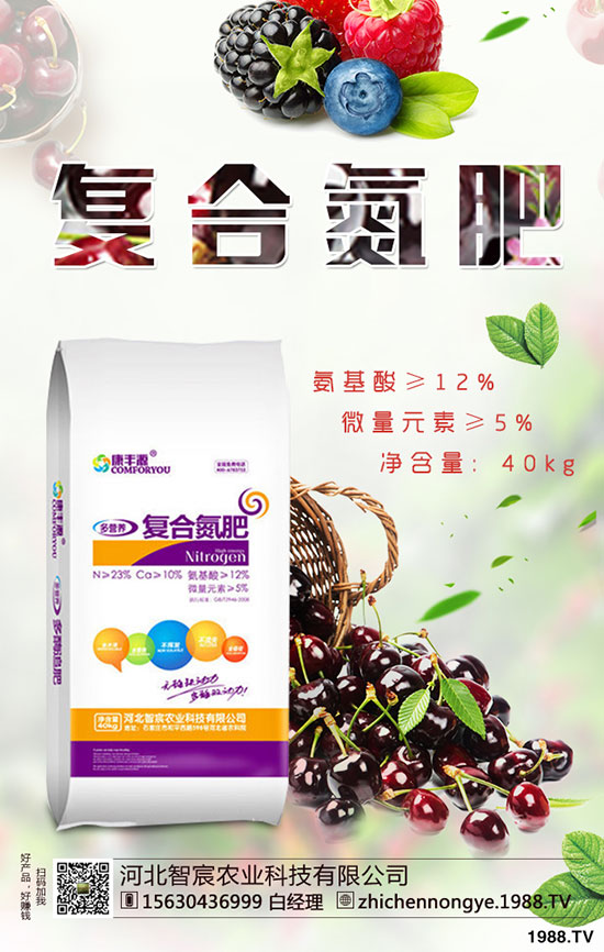 精品芒果種植技巧，施肥很關(guān)鍵！