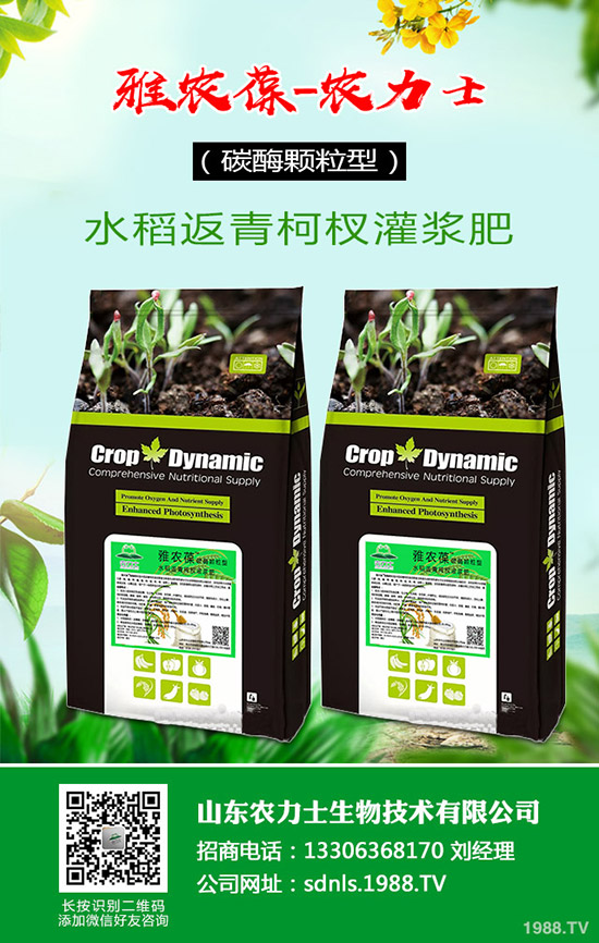     國內(nèi)尿素價格小幅探漲！最新尿素行情走勢綜合預測2020-4-16