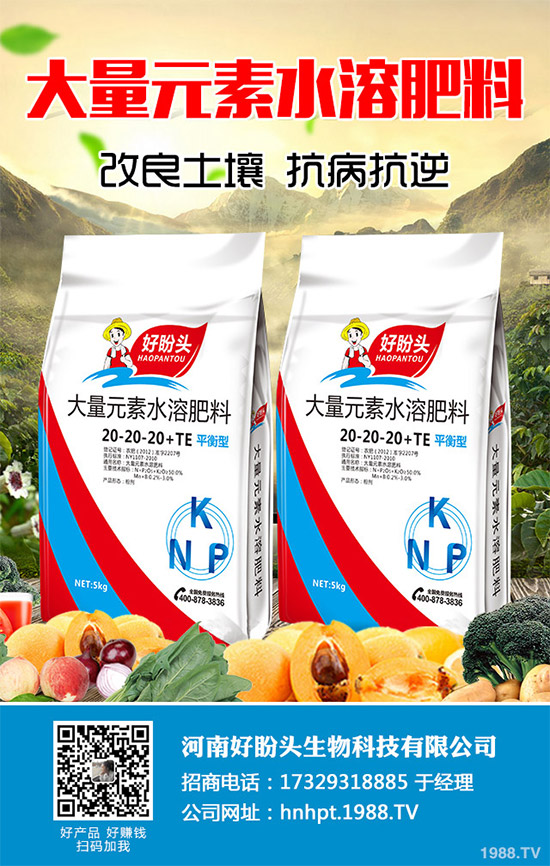 無花果有哪些營養(yǎng)價(jià)值？無花果的功效作用及食用禁忌