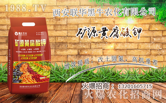  ϲ��(b��o)��1988.TVϲӭ��������(li��n)�A��ţ��(qi��ng)�݁��u��