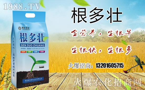  ϲ��(b��o)��1988.TVϲӭ��������(li��n)�A��ţ��(qi��ng)�݁��u��