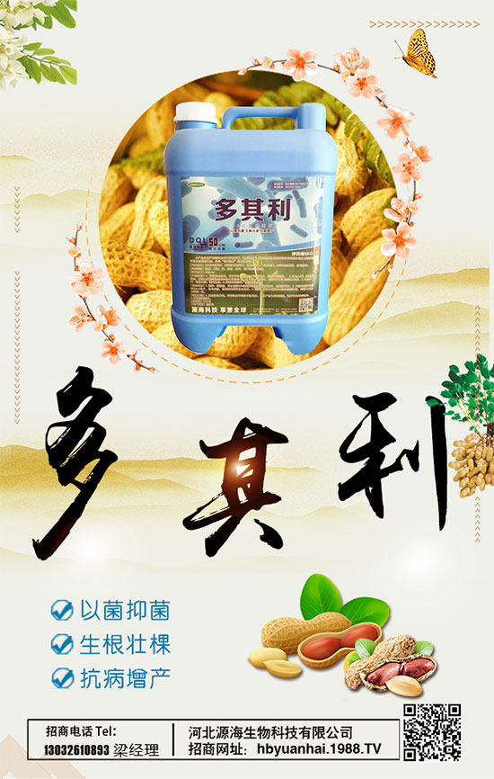 洋蔥什么時(shí)間種植好？洋蔥種植想高產(chǎn)怎么種植？