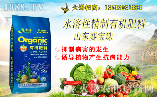 ِ�������ﺞ�s1988.TV�����\�������p�A��